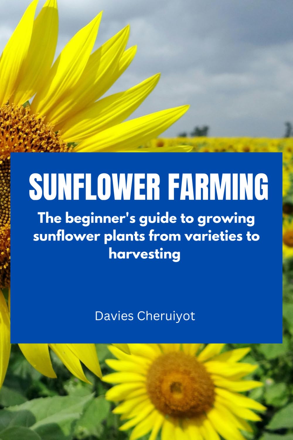SUNFLOWER FARMING: The beginner's guide to growing sunflower plants from varieties to harvesting