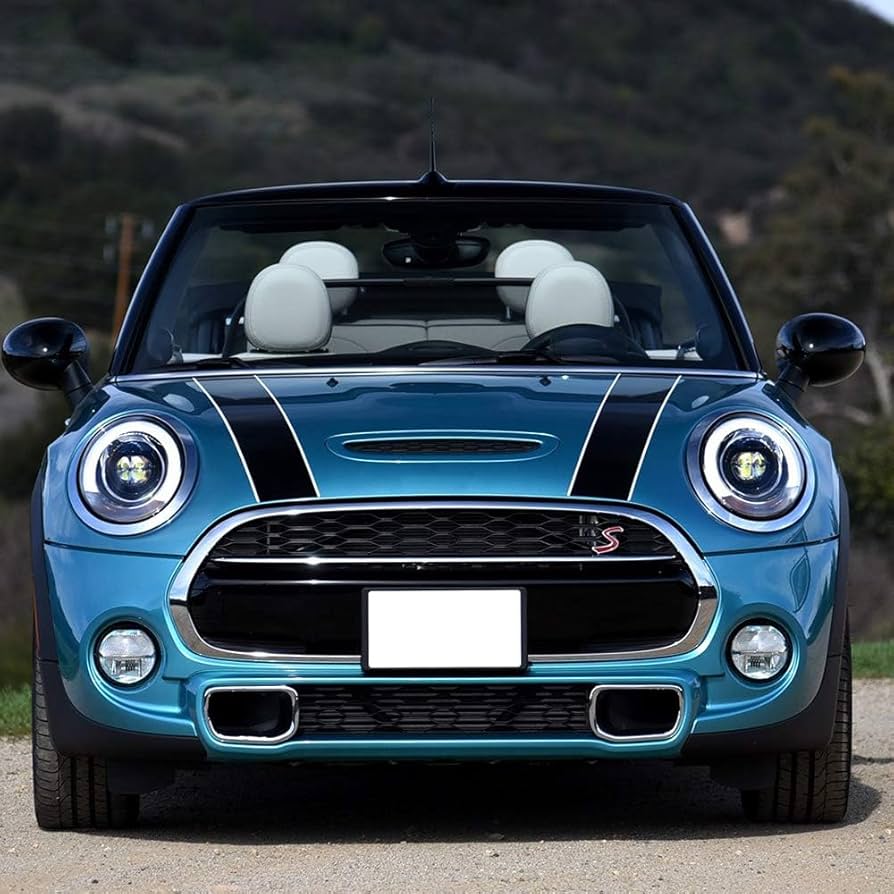 再お値下げ★ヴィンテージ、ミニデカールキャビネット Amazon.co.jp: に適合する MINI クーパー F55 F56 2014-2016