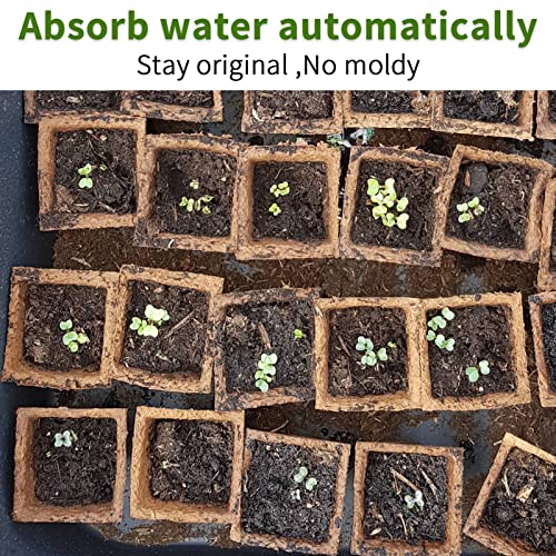 Syitcun 200 Cells Seedling Starter Trays,20 Pack Trays For Planting,Biodegradable Seed Peat Pots Planting Seeds,Bonus 100 Plant Labels,1 Seeding Riser,1 Spray Bottle,Indoor Germination Kit, 10Cells #TOP5