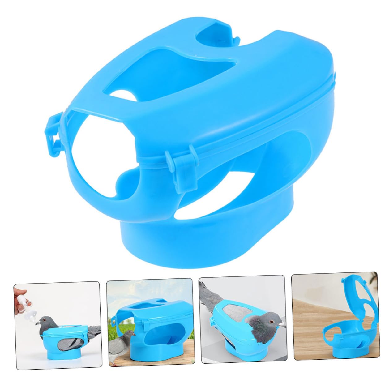 BESPORTBLE Fijadores para Palomas 6piezas Soporte Fijo de PP para Inyección y Alimentación Anillo para Patas, Práctico para Observación y Manejo Cómodo