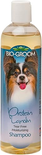 Bio-groom Proteína Lanolina Champú 12 oz Paquete de 2