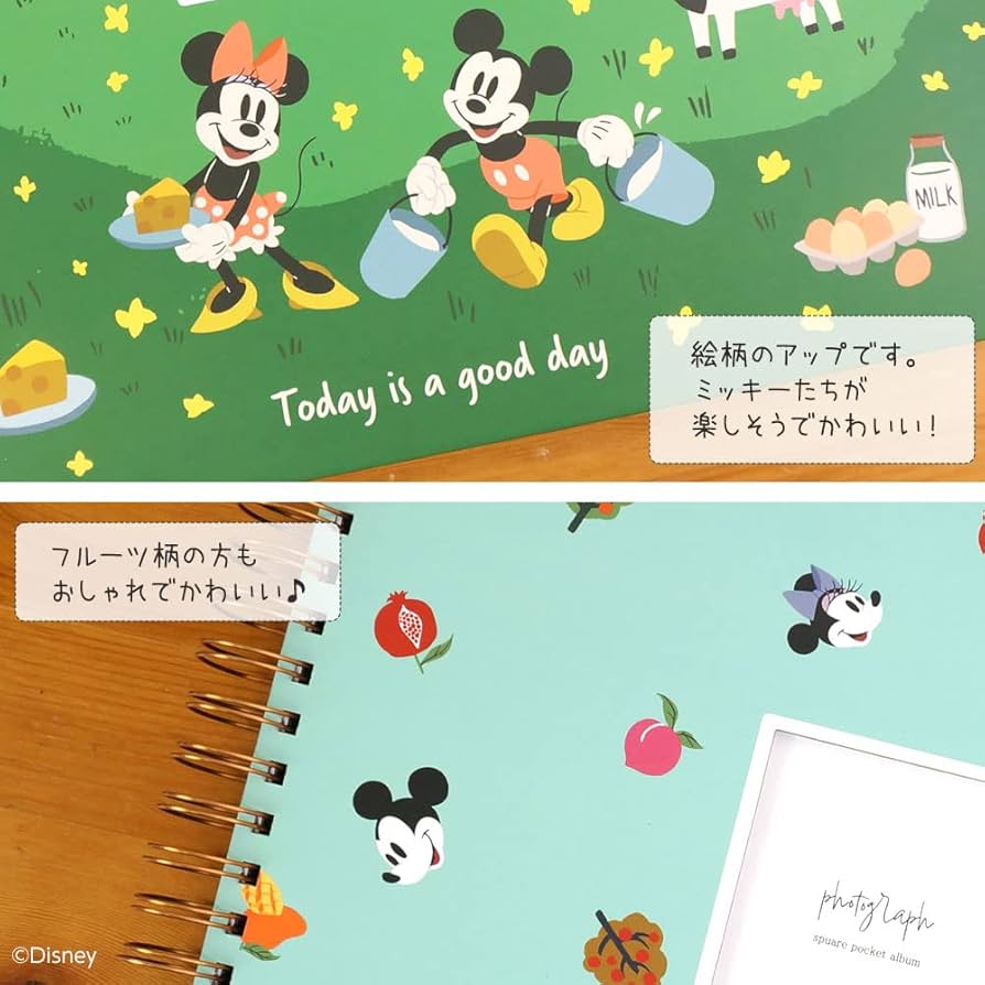 Disney ミッキー&ミニー アルバム Disney - ミッキーミニーアルバムの