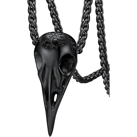 FaithHeart Viking Raven Necklace for Men, Norse Mythology Raven Skull Pendant Sturdy Stainless Steel Amulet Jewelry Gift for Men