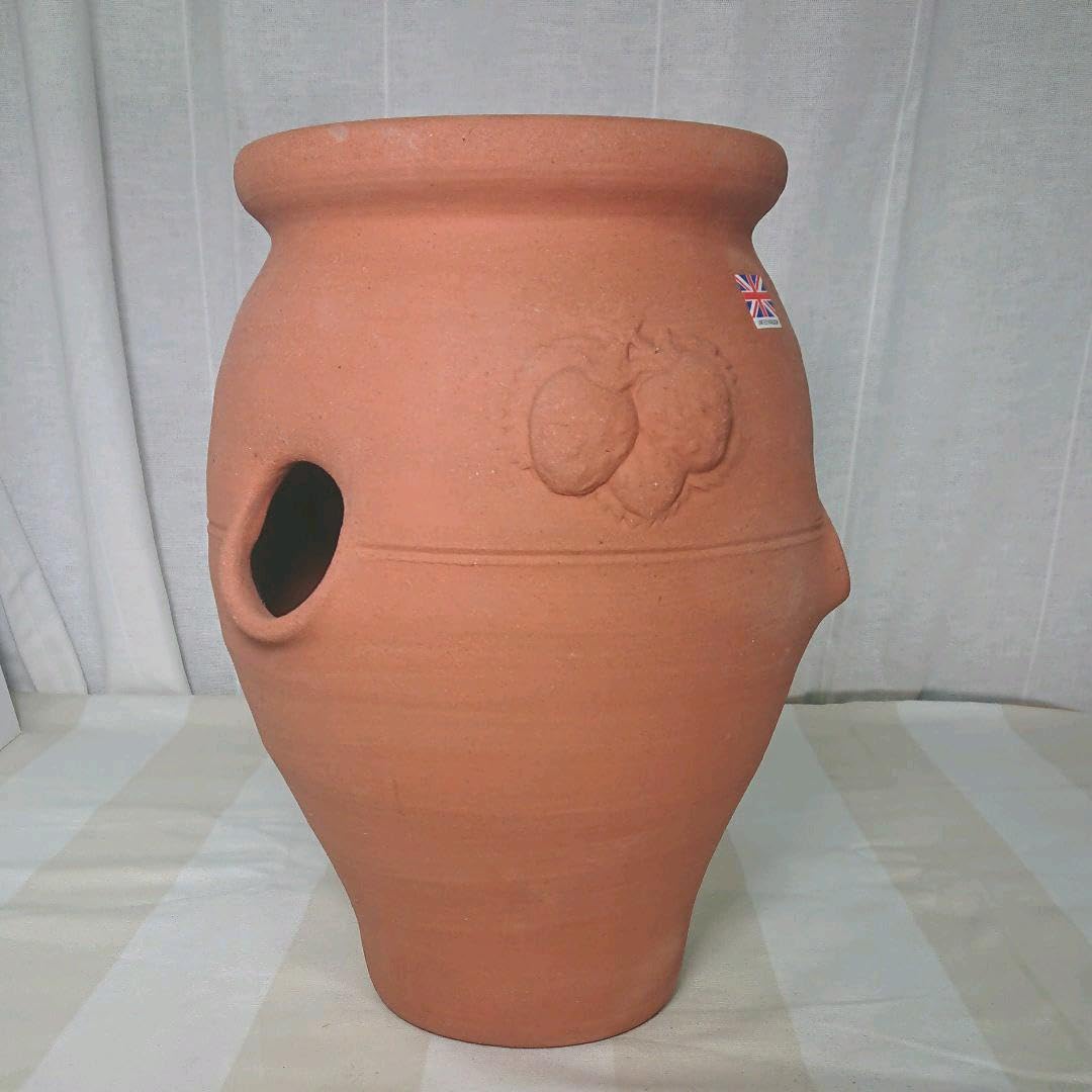 Amazon.co.jp: テラコッタ鉢 Willow Pottery ストロベリーポット 