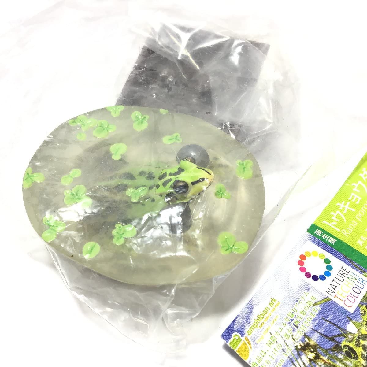 ネイチャーテクニカラー　フィギュア　トウキョウダルマガエル ネイチャーテクニカラー 日本のカエル 特装版 [6.トウキョウ