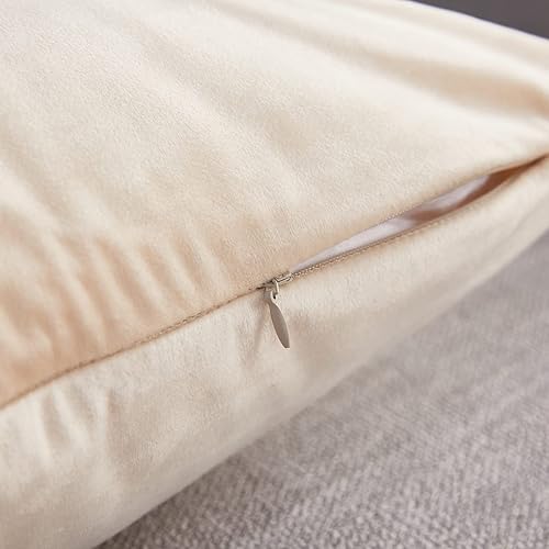 Miniatura 5 de Sunday Praise Juego de 2 fundas de almohada grandes de terciopelo beige de 24 x 24 pulgadas, acogedoras y suaves, cuadradas, decorativas, para sofá,