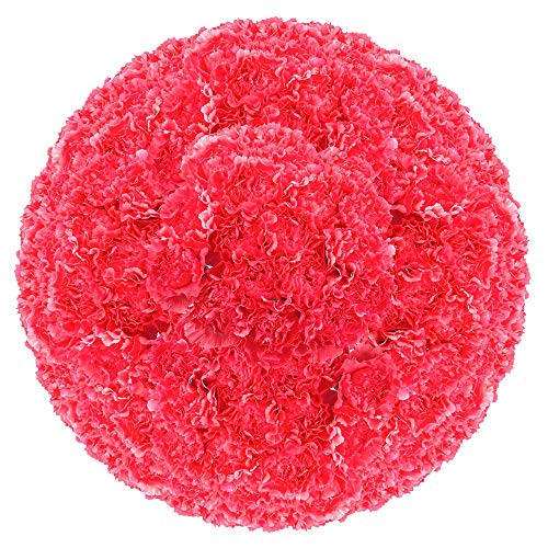 100 Hot Pink Carnations | Fresh Flowers For Valentines Day #TOP3
