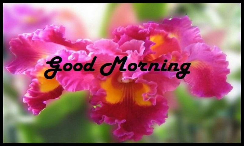 Good Morning Wishes - App on Amazon Appstore