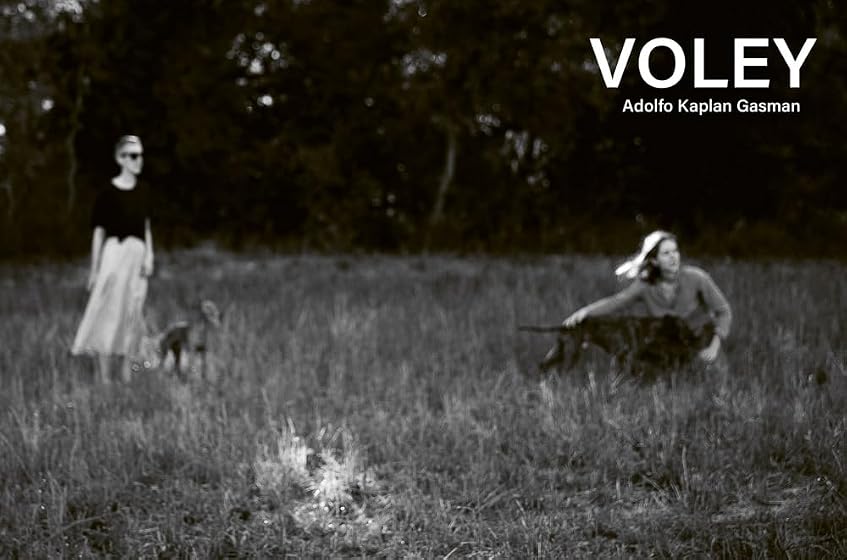 Vóley