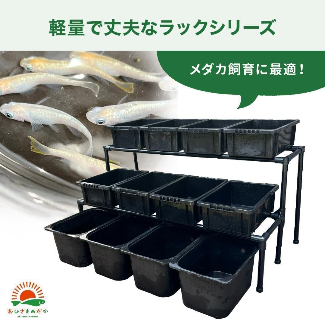 ★メダカ飼育ラック 1段6個置き ★飼育棚 ビオトープ Amazon.co.jp: メダカ飼育ラック 黒1段6個置き めだか飼育棚 NVBOX