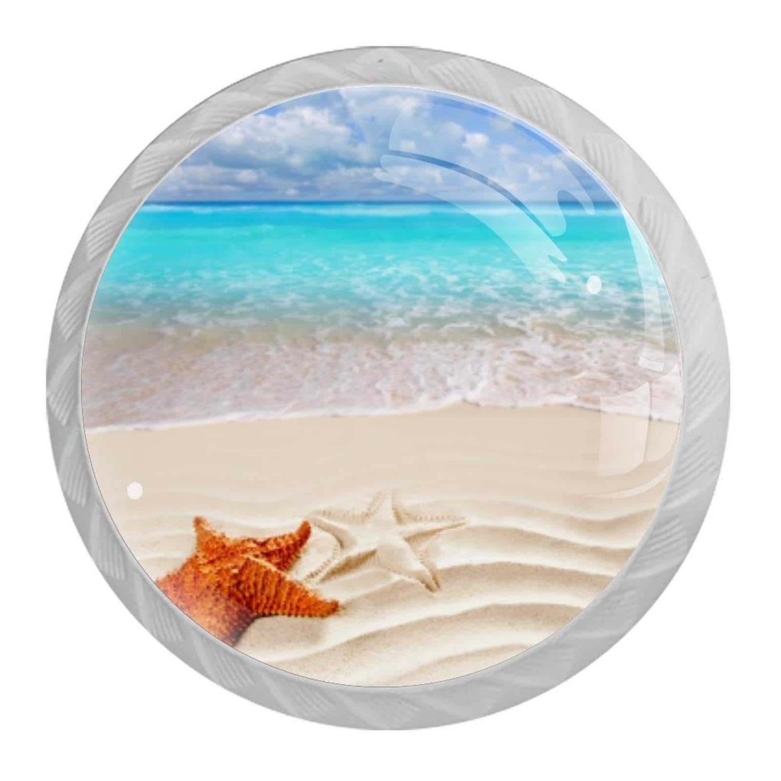 Tqmspg Multi Beach Starfish