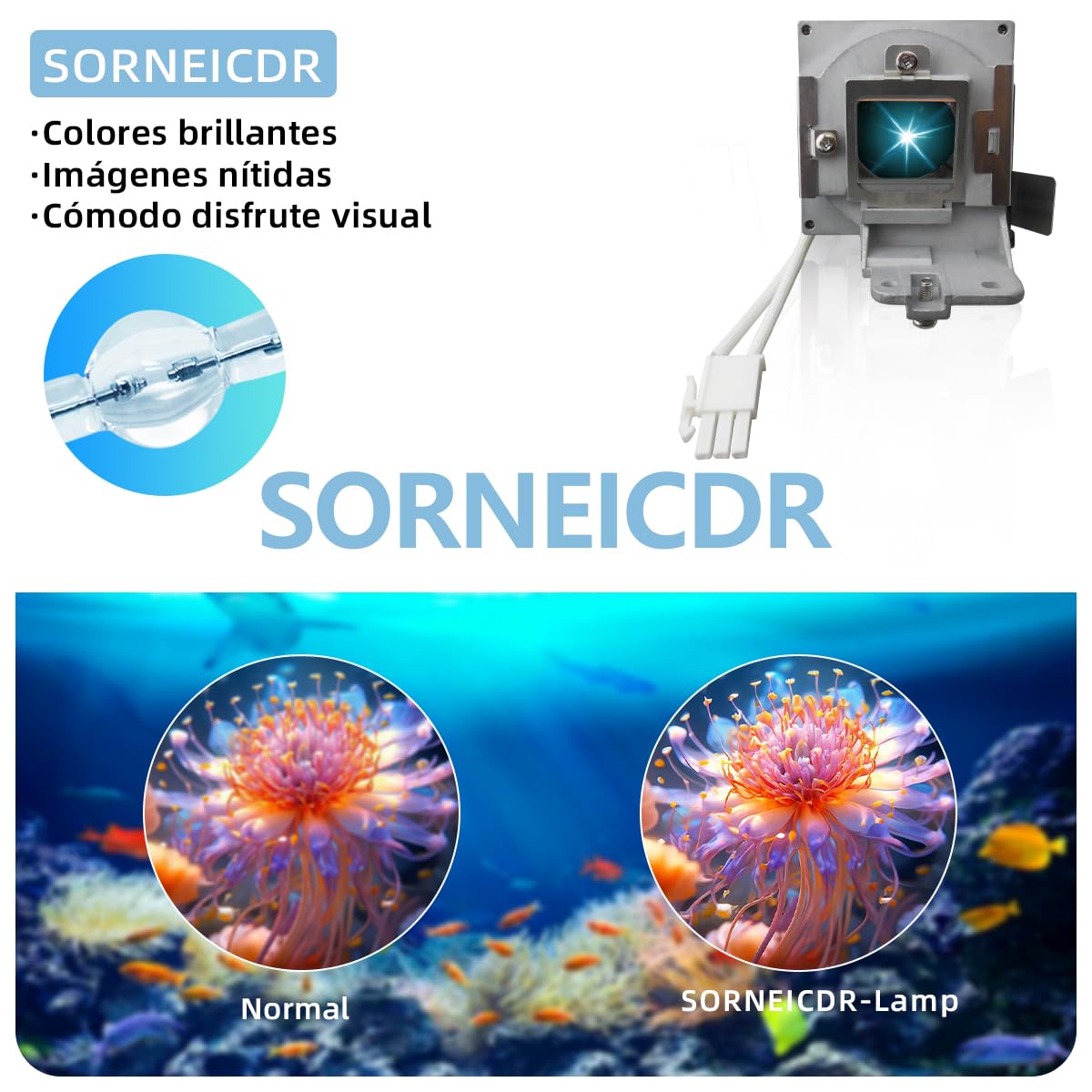 5J.J9R05.001 Lampada proiettore di ricambio con alloggiamento per Benq MS504 MS524 MS524A MW526A MX525 MX525A Videoproiettore