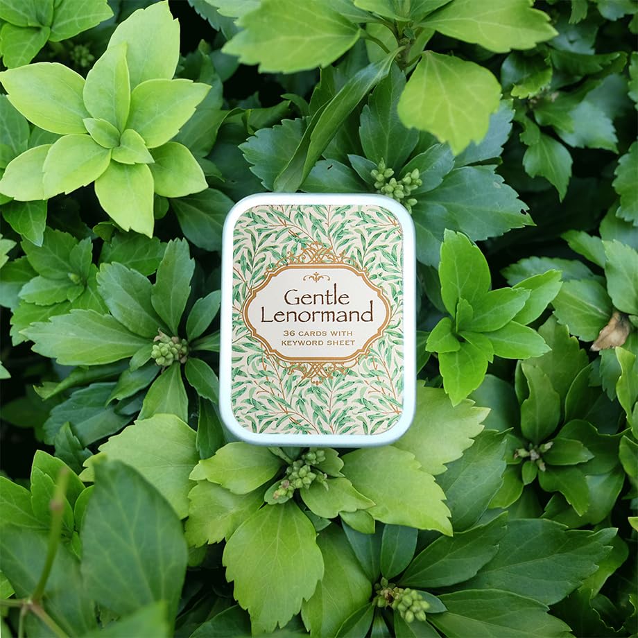 しょうぽん　新品 ディスモーメント ルノルマンカード 全36枚 ケースあり Gilded Reverie LENORMAND (Expanded Edition) ギルデッド