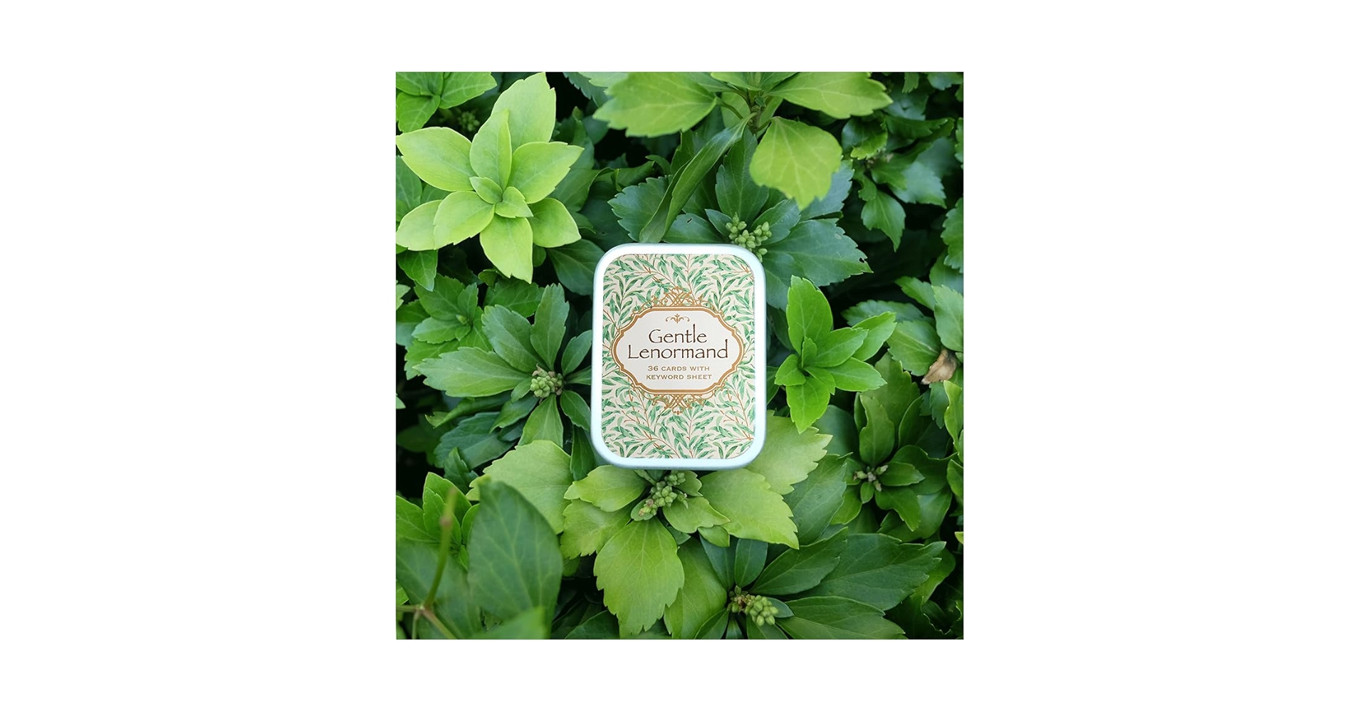 Amazon | Gentle Lenormand（ジェントルルノルマン） ｜ OTOM