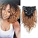 Sassina Real Remy Clip In Human Hair Extensions Kinky Curly Ombre Color Natural Black Fading to Strawberry Blonde For Black Women 120 Grams 7 Pieces Per Bundle with 17 Clips KC TN27 18 Inch