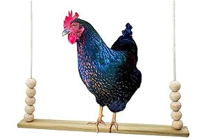 Chicken Coop Suspension Bridge Swing - Budgie Climbing Perch