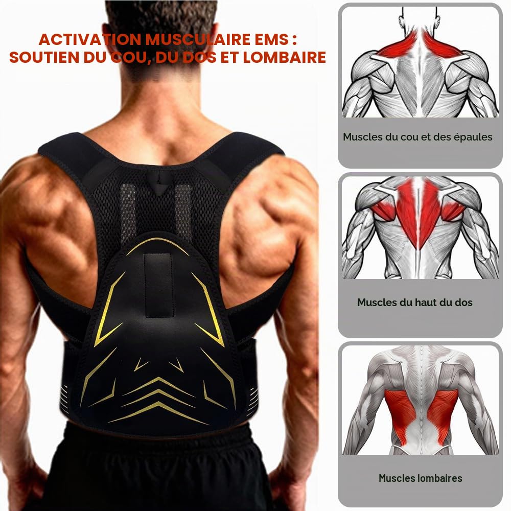 Stimulateur Musculaire, EMS Appareil d'entraînement du cou et du dos, Ceinture Abdominale Électrostimulation, Correction de Posture Cadeaux pour Femmes et Hommes