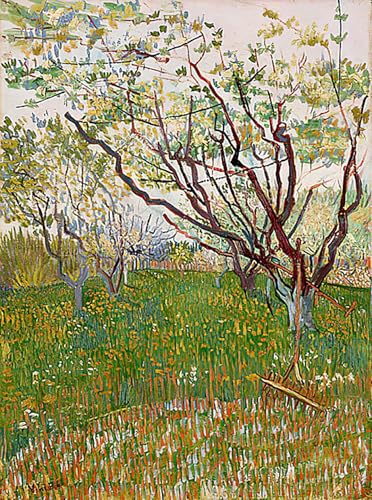 Tableau Toile Vincent Van Gogh Verger en fleurs reproduction d'art mural 60x90cm