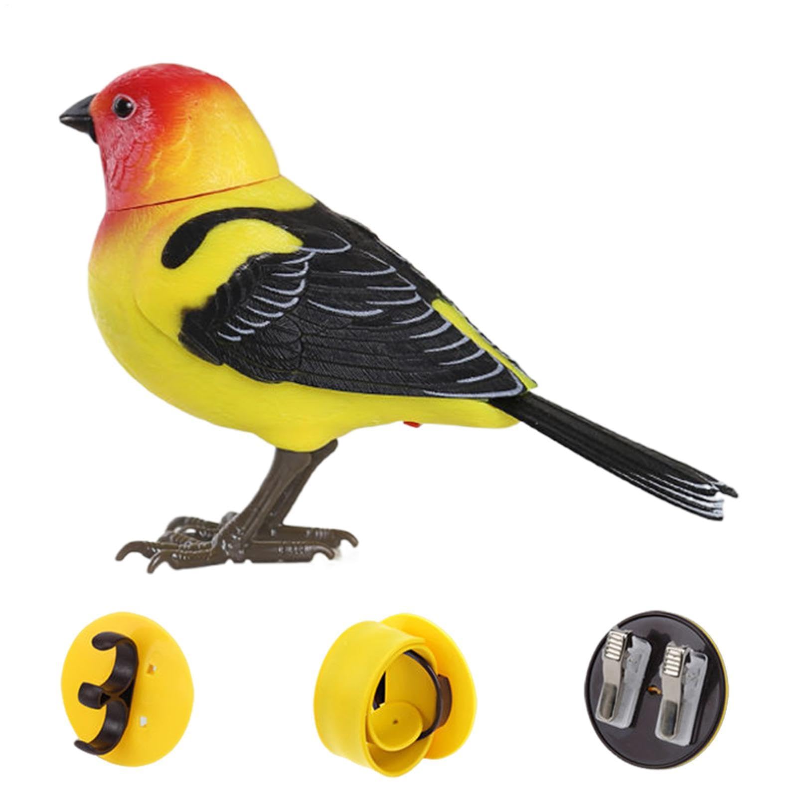 Toy Bird, With Realistic Talking Electronic Pet, 13.5×9cm, Bird Toy, Interactive Desktop Companion, Sensory Play Learning Device, Fun Party Favor, For Birthdays, Kindergartens