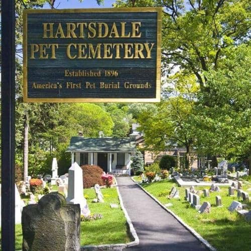 Episode 8 - Exploring Pet Cemeteries