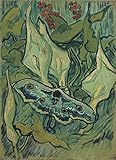 Van Gogh ColorfulStream Great Peacock Moth di Van Gogh. 100% dipinto a mano. Riproduzione di alta qualità (non incorniciata e non allungata)., Stesso all\'originale., 52x71