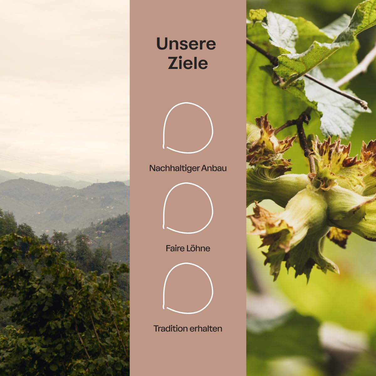 Black Sea Nuts – Geröstete Haselnüsse 200 g | Aromatische Nüsse vom Schwarzen Meer in Premium Qualität | Ganze Haselnusskerne ohne Schale | Für gesunde Snacks & zum Backen | Traditionell & Nachhaltig