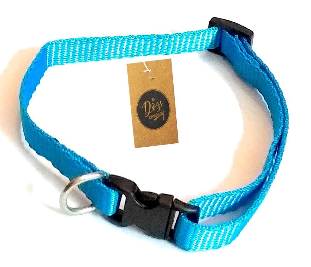 The Pets Company Cat Collar with Bell, Turquoise Blue (X-Small) (B07D7G8G7J) Amazon Price History, Amazon Price Tracker