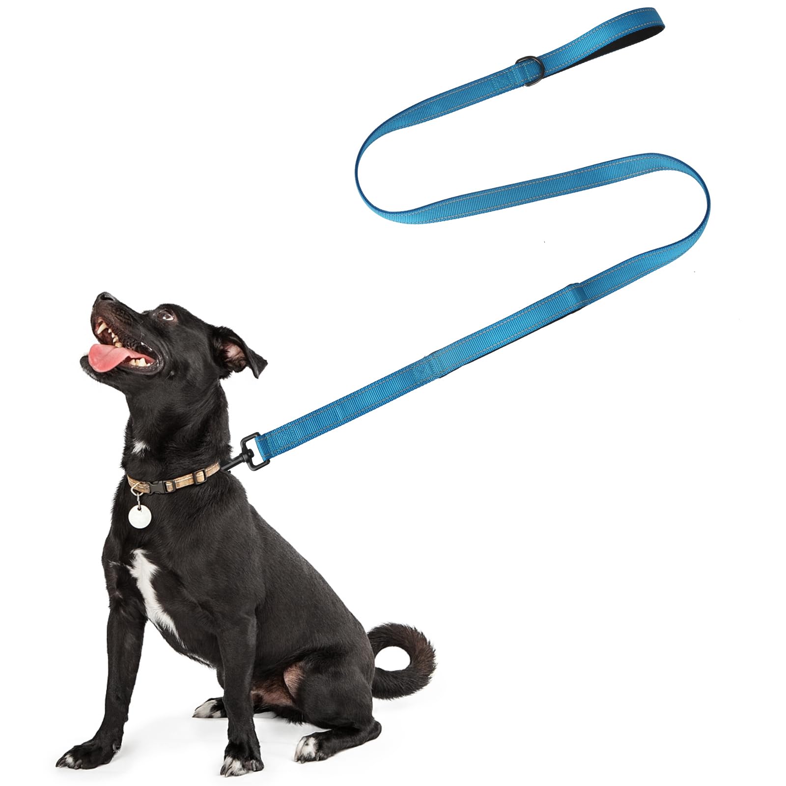 Strong Nylon Dog Leads - 1.5m Heavy Duty Leash for Large Dogs, Reflective Blue
