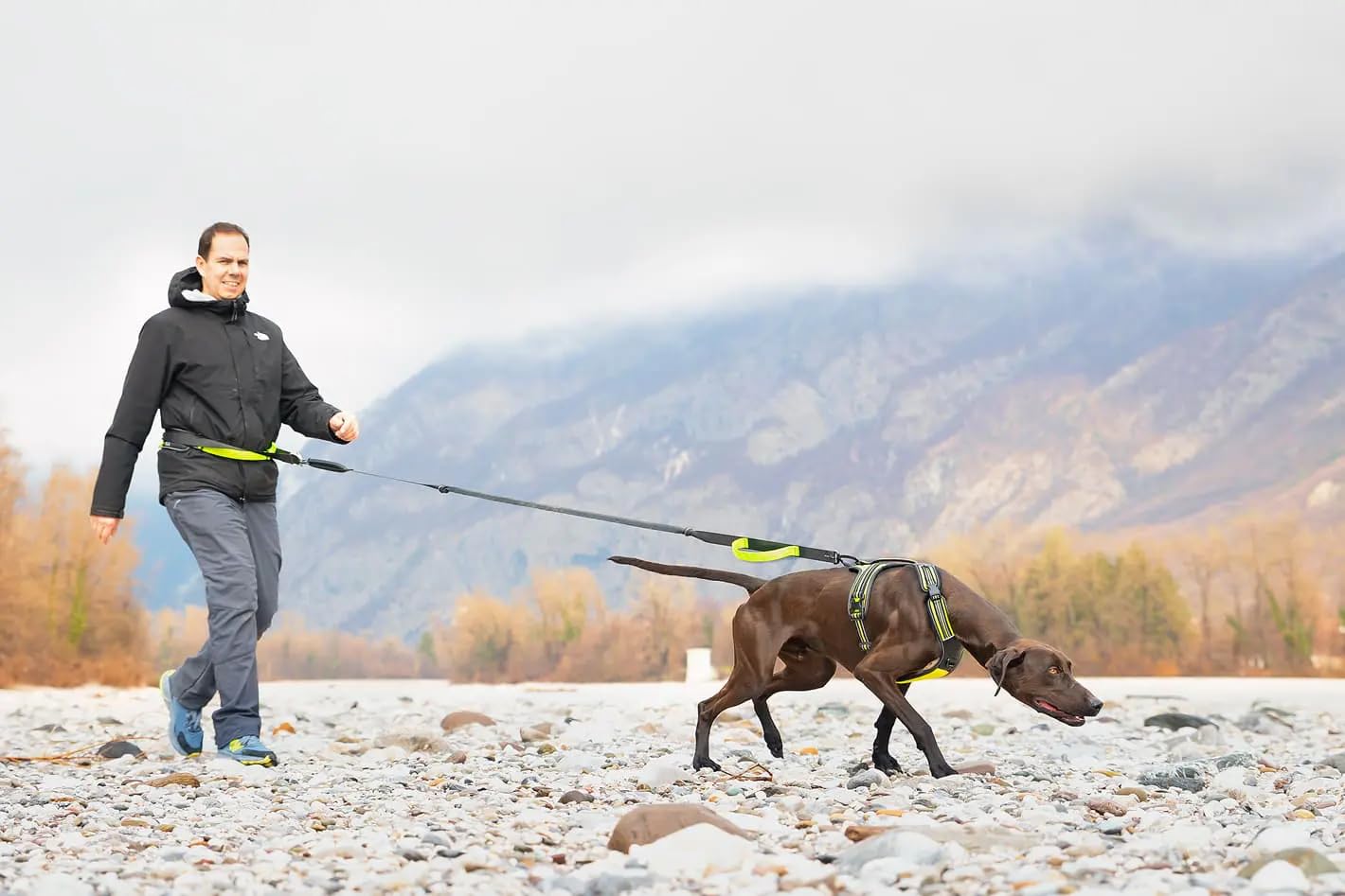 Cintura dog-trekking