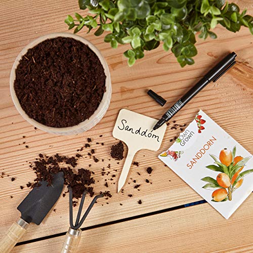 OwnGrown Store Holzschild zum Beschriften: Set aus 60 Etiketten zum Beschriften mit Stäbchen und Stift - Perfekt für Pflanzentopf, DIY Schilder selbst gestalten und Garten - Gartengeräte