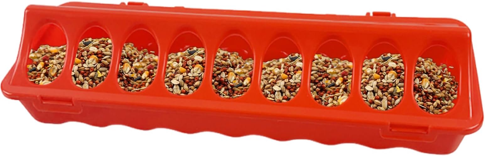 Poultry Maker - Rationalizing Tasks Feed Daily Chicken Poultry Feeder | Access & Reduce Liter Waterer | Small-Ashell Small Voltrle