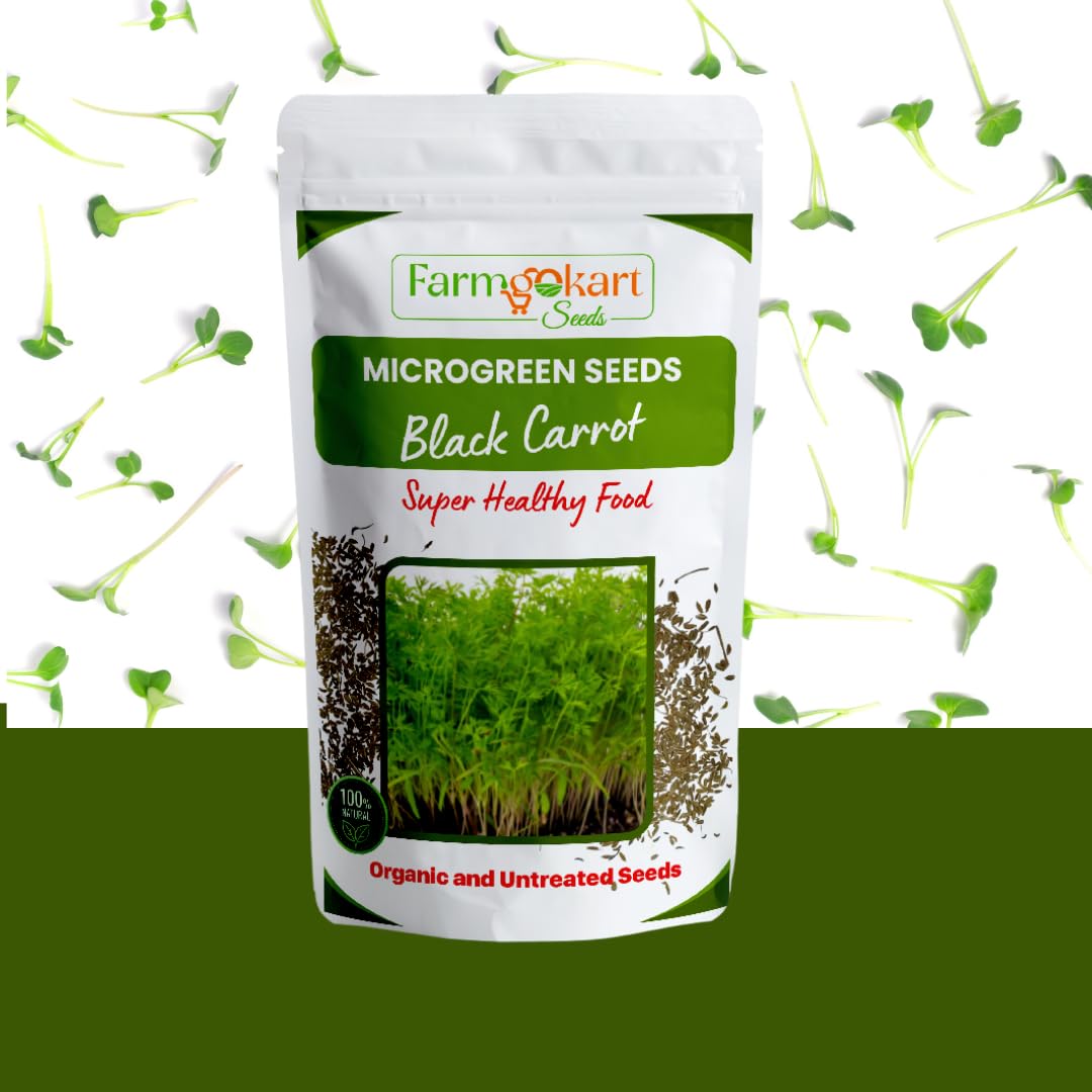 Farmgo | 25 Grams | Black Carrot Microgreen -Starter Pack | Organic and Untreated Seeds | Grow your Own Greens