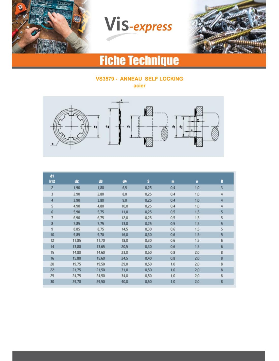 Anneau SELF LOCKING Diamètre 20 Type 876 Acier brut-1 pièce
