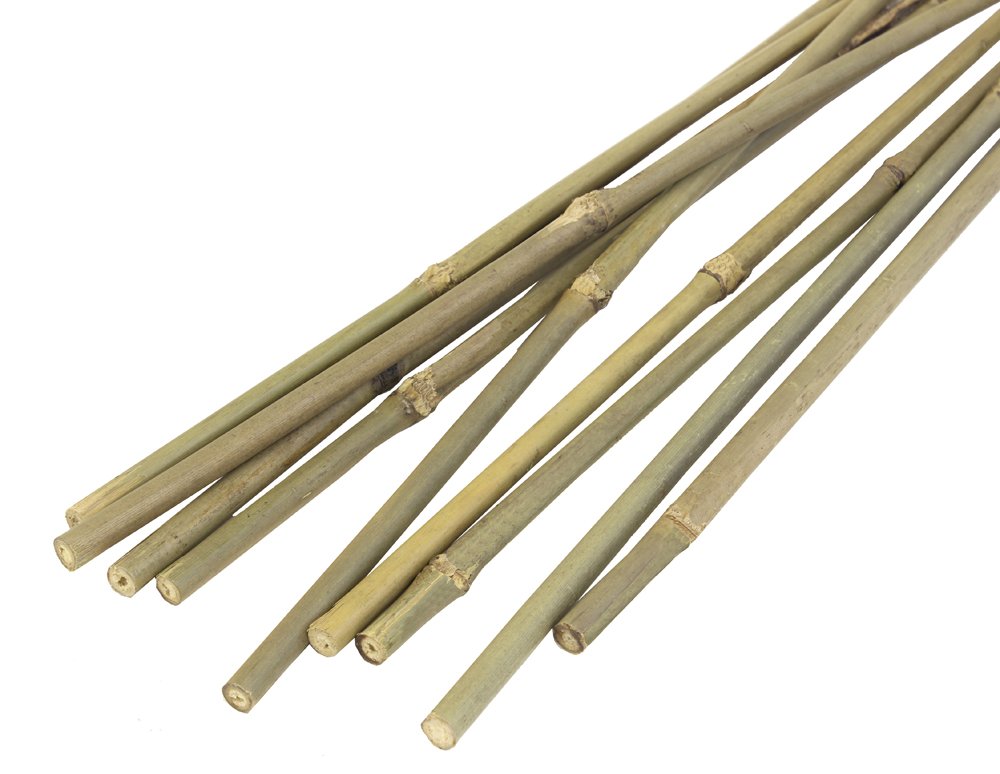 JVL Natural Bamboo Garden Canes, Brown, 61 cm, Pack of 20