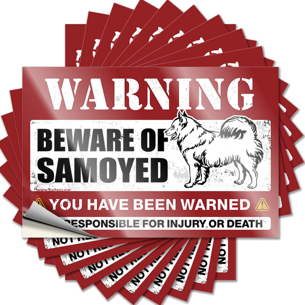 Man CABE Decor Decal Cover | Beware of Samoyed Accent Student Sticker Pack(6X9CM)