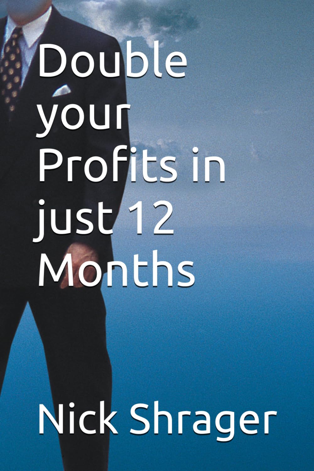 Double Your Profits in Just 12 Months: The Definitive 12 Month Blueprint for Business Owners to achieve Explosive and Sustainable Growth