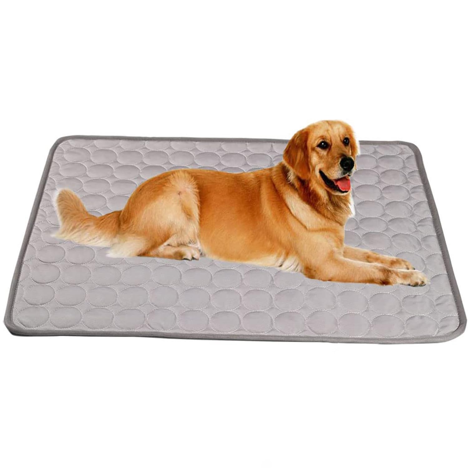 See full amazon price history chart for Kuber Industries Rectangular Dog & Cat Bed|Multi-Utility Self-Cooling Pad For Dog & Cat|Light-weight & Durable Dog Bed|ZQCJ001G-XL|Grey Kuber Industries Rectangular Dog & Cat Bed|Multi-Utility Self-Cooling Pad For Dog & Cat|Light-weight & Durable Dog Bed|ZQCJ001G-XL|Grey (B0CJ59F7CY) Amazon Price History, Amazon Price Tracker