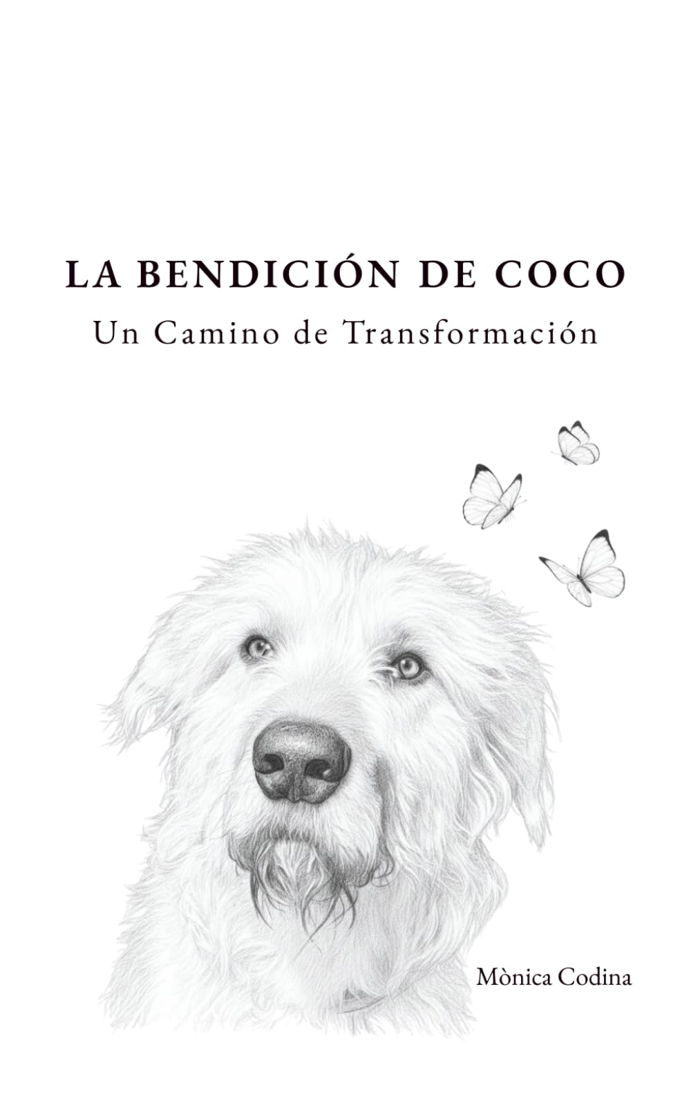 LA BENDICIÓN DE COCO: Un Camino de Transformación