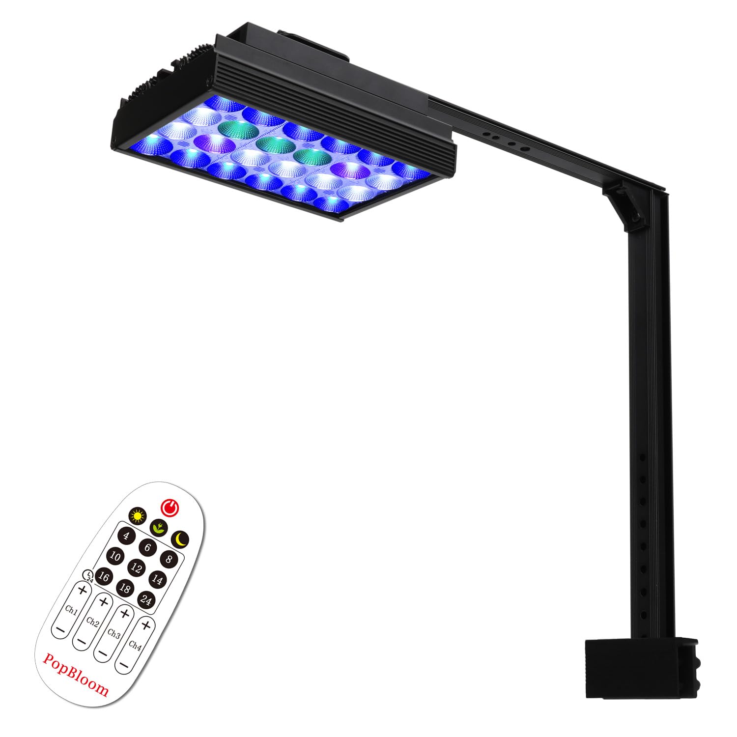 ※はごろもしゃん 　milimili mililopiulu バルーン はごろもしゃん milimili mililopiulu バルーン はごろもしゃん