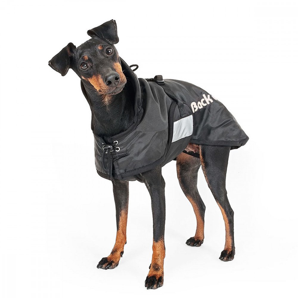 Back on Track Regular Therapeutic Dog Blanket - Size:22-23" (59 cm) M Color:Blac
