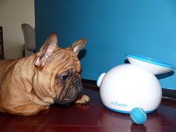 Amazon Ifetch 小型犬 中型犬用 自動キャッチボールおもちゃ ボール3個付 Ifetch ボール 通販