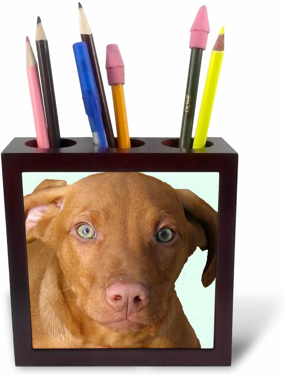 3dRose ph_48744_1 Vizsla Puppy-Tile Pen Holder, 5-Inch
