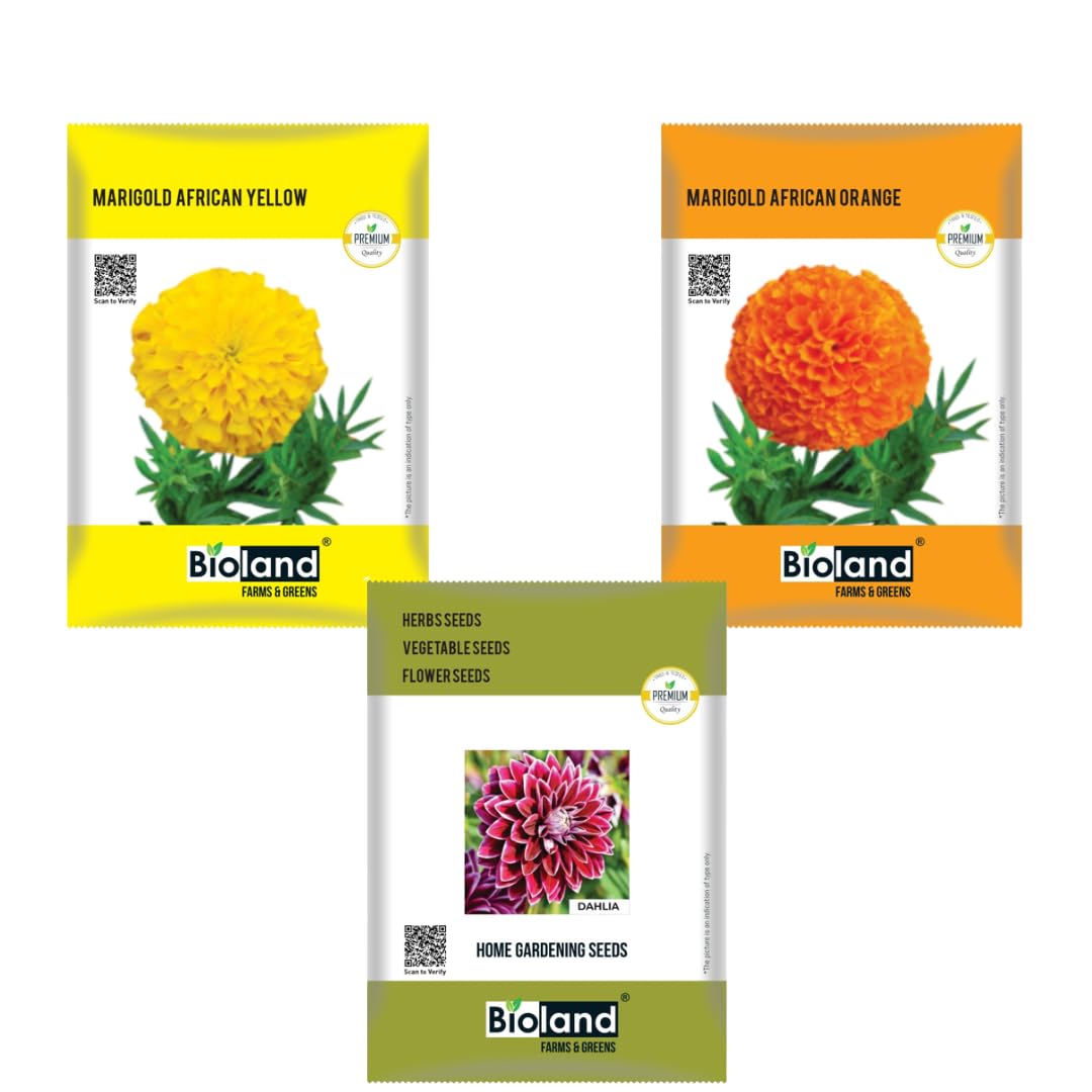 See full amazon price history chart for BIOLAND Flower Seeds Combo of 3 | Orange Marigold, Yellow Marigold and Dahlia Seeds for Home Gardening For Planting/Sowing Purpose (Phool Ke Beej) BIOLAND Flower Seeds Combo of 3 | Orange Marigold, Yellow Marigold and Dahlia Seeds for Home Gardening For Planting/Sowing Purpose (Phool Ke Beej) (B0CG5SM637) Amazon Price History, Amazon Price Tracker