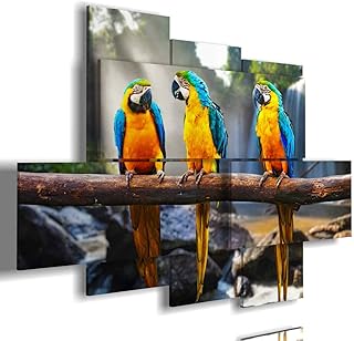 duudaart Quadro pappagalli multilivello Moderni da Mare Soggiorno Salotto Verticale Camera in Lungo con per
