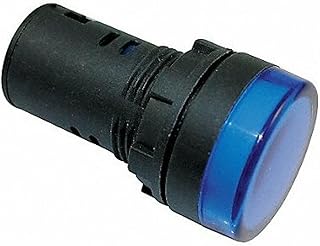 Raised Indicator Light,22mm,24V,Blue