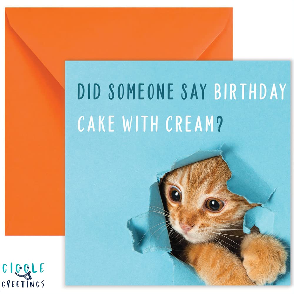 Giggle Greetings Funny Cat Birthday Card for Him or Her - Funny Birthday  Card with Orange Envelope - Eco Card : Amazon.com.be: Office Products