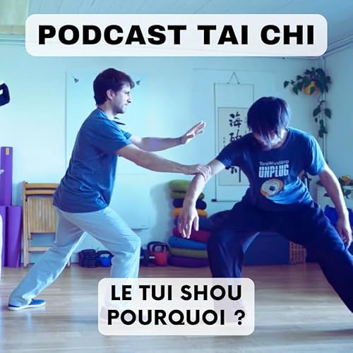 Tui Shou &ndash; R&eacute;flexion personnelle sur le pourquoi