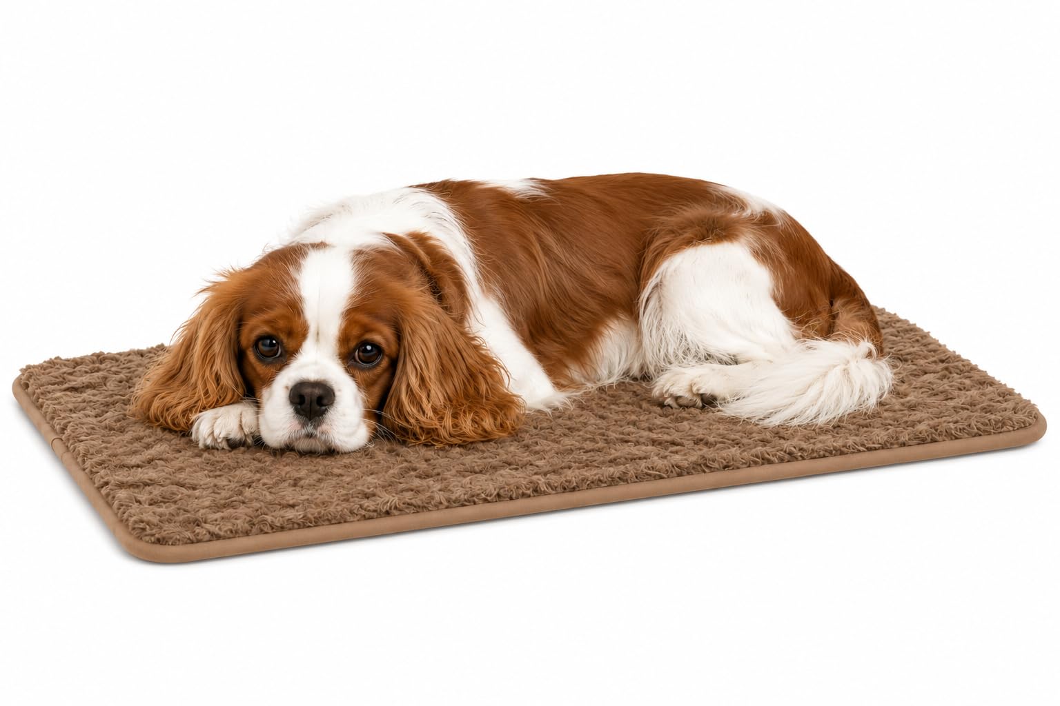 cuccia cane - cuscino ortopedico per cane e gatto in memory foam - cuscino rettangolare Webbi beige - adatto per gabbie e trasportini - 55,5 x 38,5 cm - Flamingo