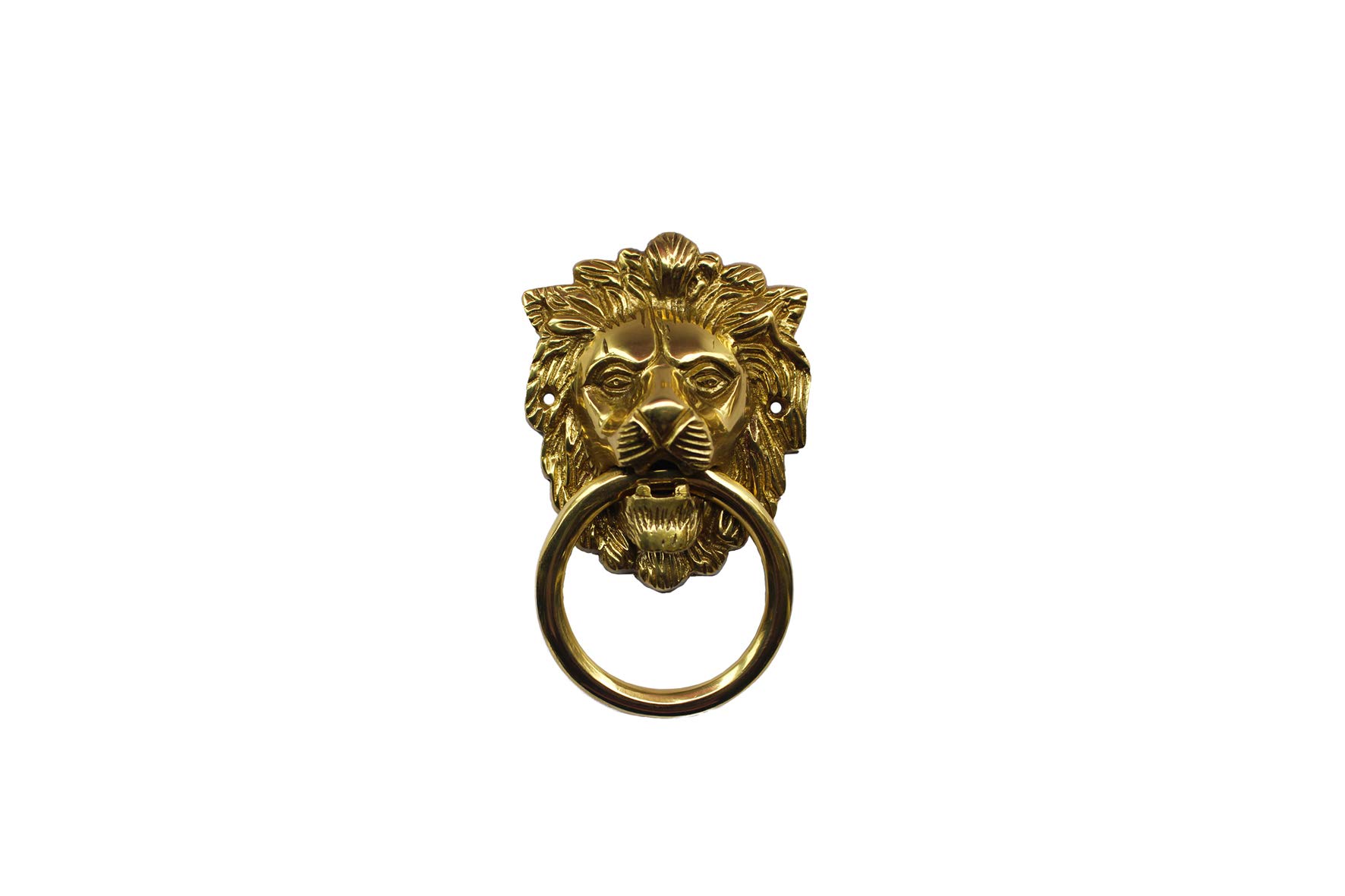 Mannarcraft Lion Face Brass Door Knocker (matt, 7 inch face)