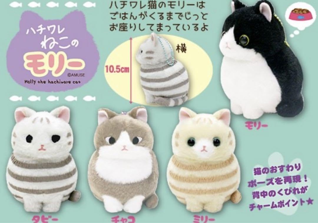 Amazon.co.jp: ハチワレねこのモリー ぬいぐるみ マスコット 全4種
